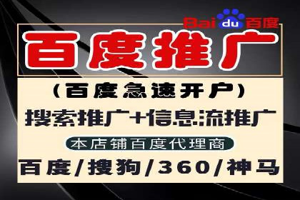 SEM公司案例研究：数据驱动营销策略